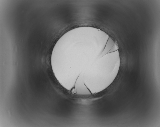 X0000103970264200810311530
