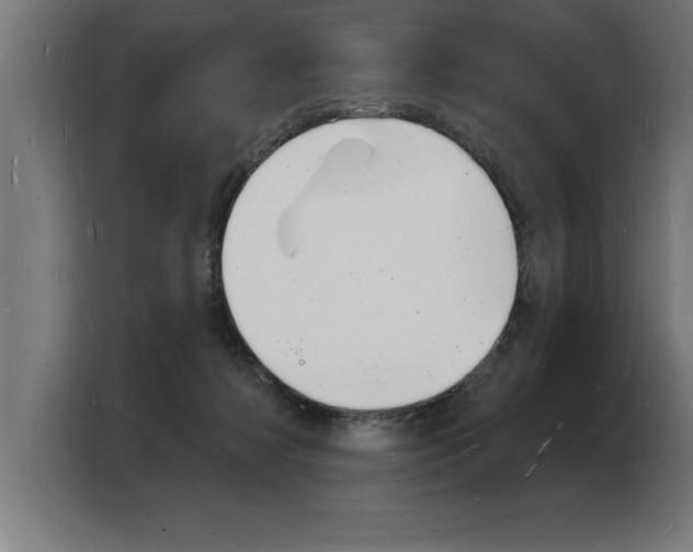 X0000103970268200810311530