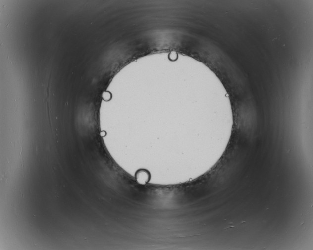 X0000103970272200810311530