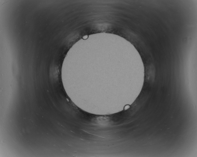 X0000103970279200810311530