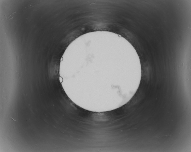 X0000103970281200810311530