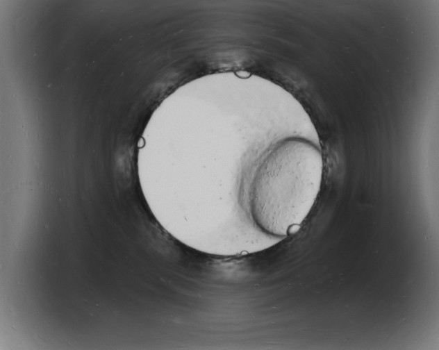 X0000103970283200810311530