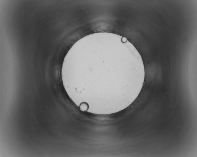X0000103970284200810311530