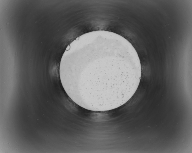 X0000103970286200810311530
