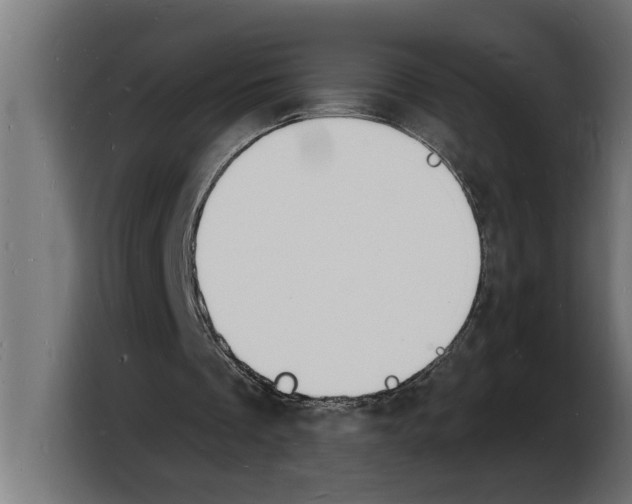 X0000103970289200810311530