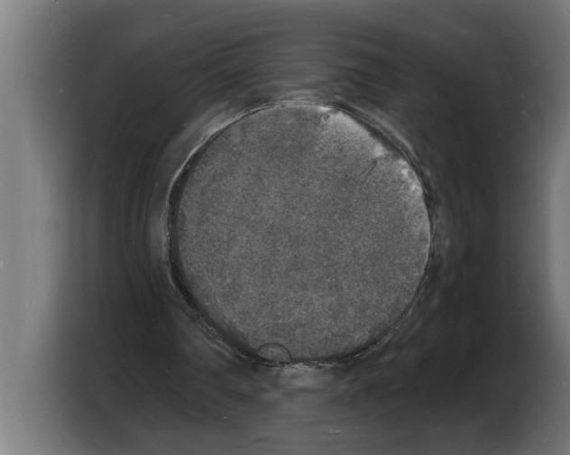 X0000103970290200810311530