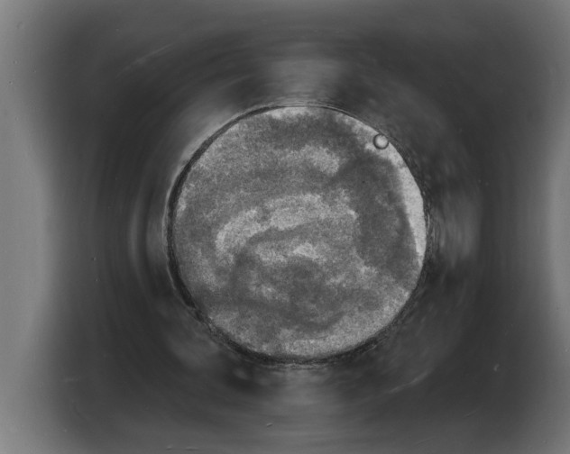 X0000103970292200810311530