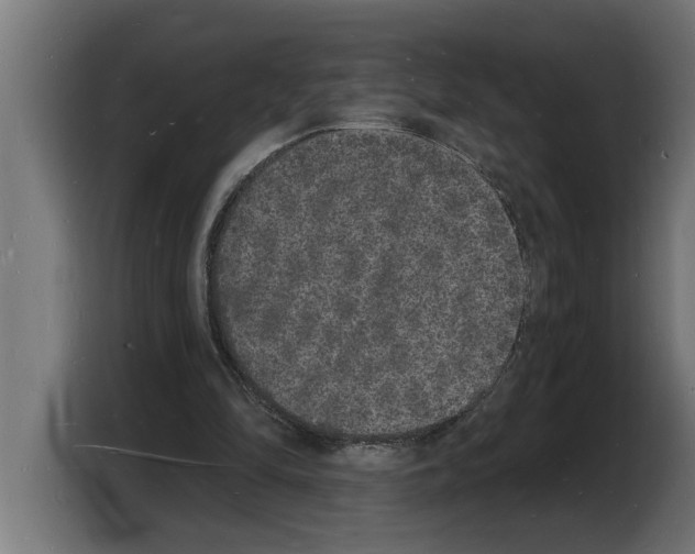X0000103970294200810311530