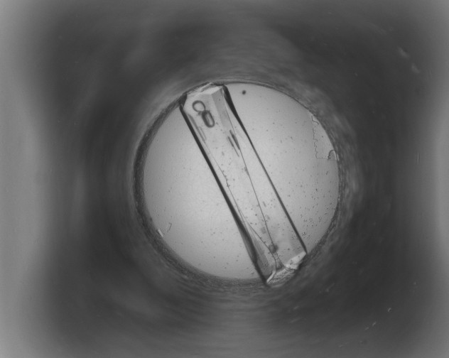 X0000103970296200810311530