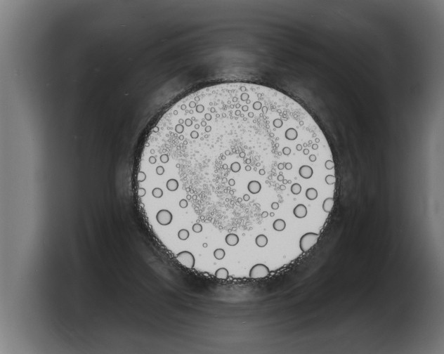 X0000103970299200810311530