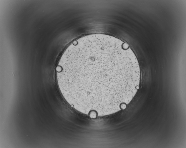 X0000103970301200810311530