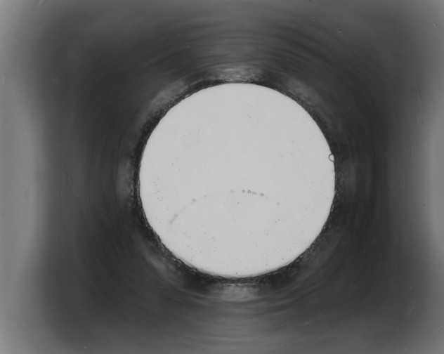 X0000103970303200810311530
