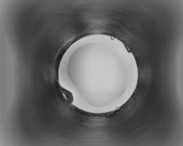 X0000103970304200810311530