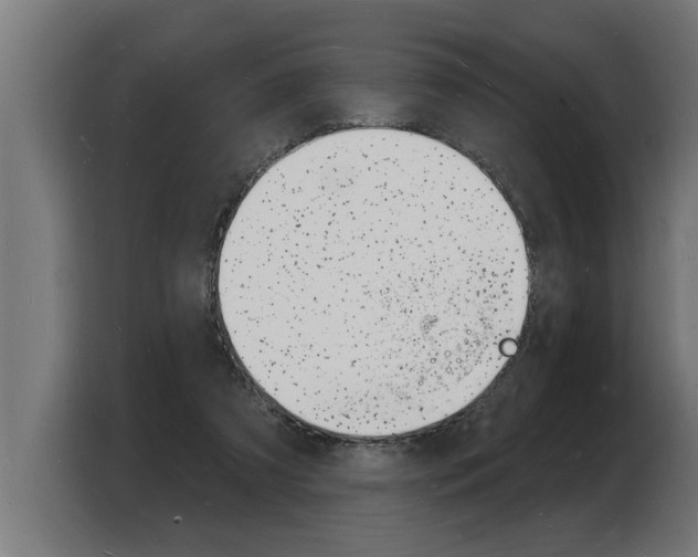 X0000103970305200810311530