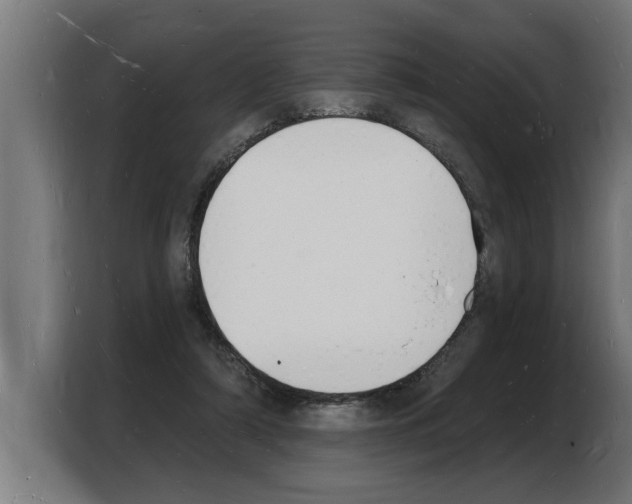 X0000103970306200810311530