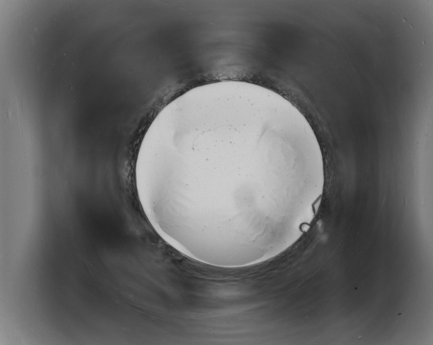 X0000103970308200810311530