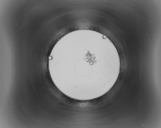 X0000103970309200810311530