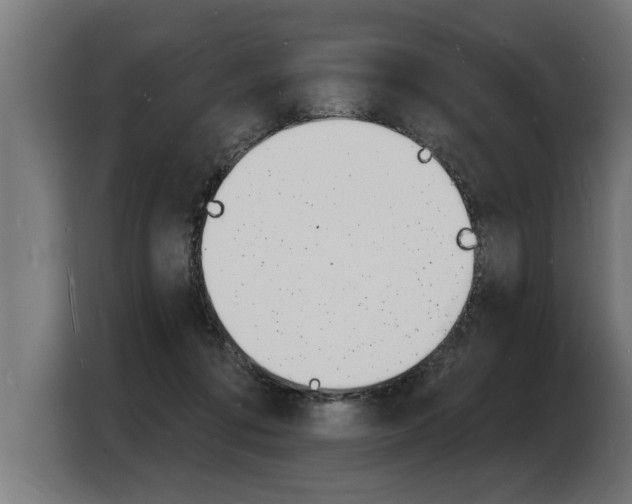 X0000103970312200810311530