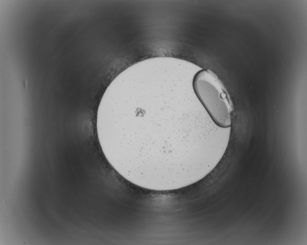 X0000103970313200810311530