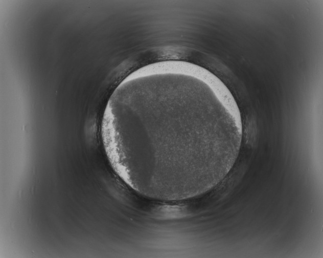 X0000103970314200810311530