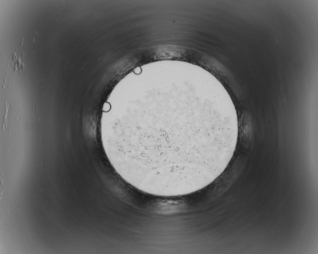 X0000103970315200810311530