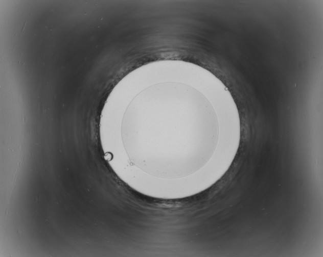 X0000103970317200810311529