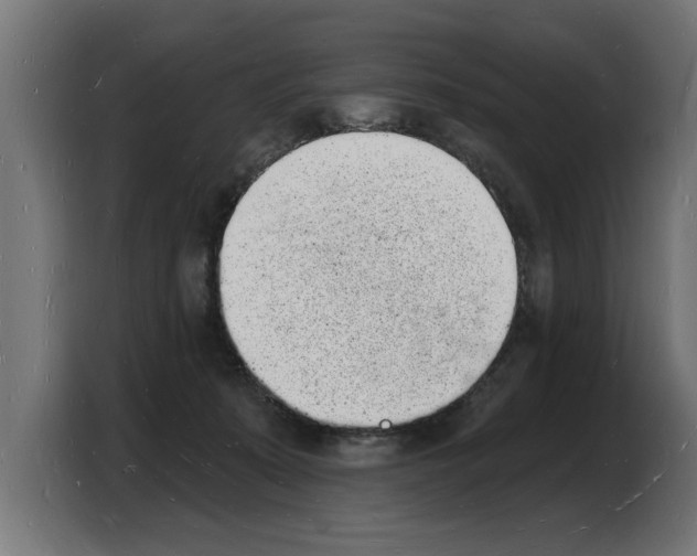 X0000103970319200810311529