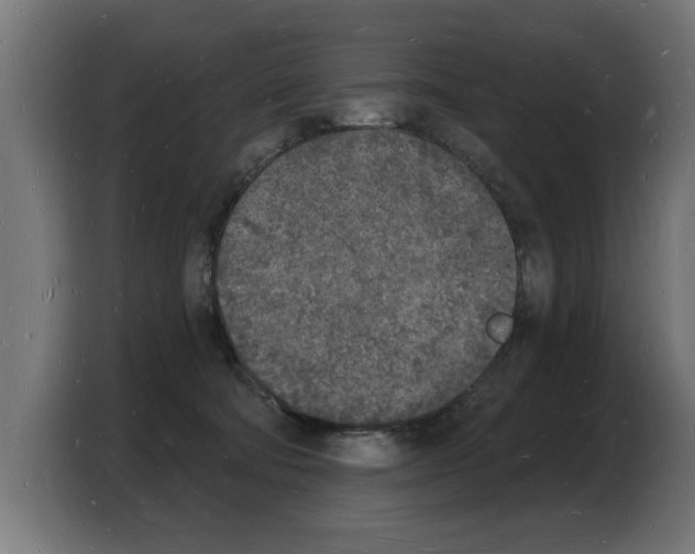X0000103970322200810311529