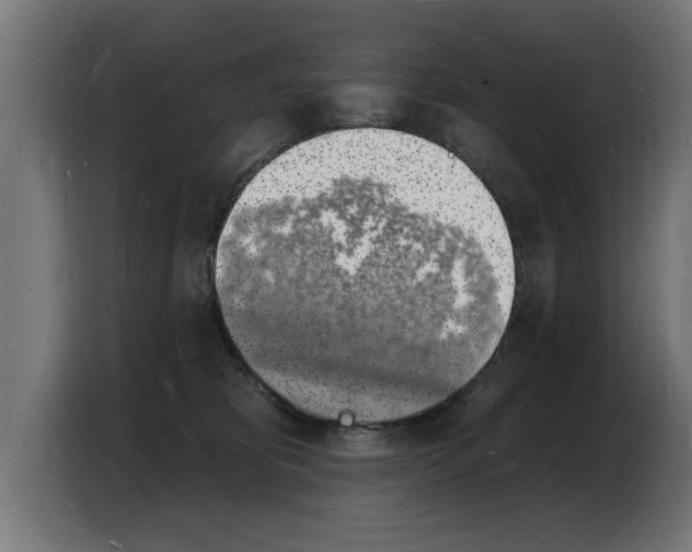 X0000103970325200810311529