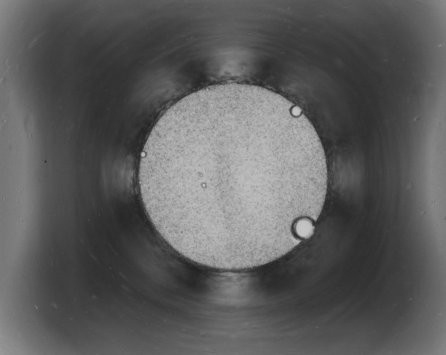 X0000103970328200810311529
