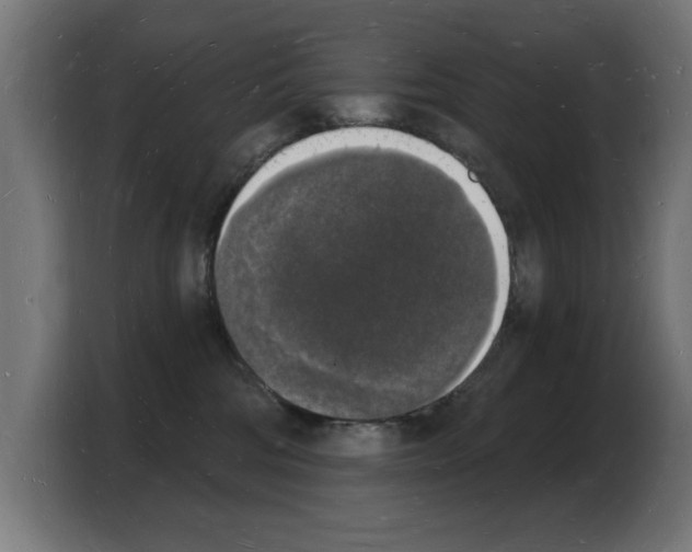 X0000103970330200810311529
