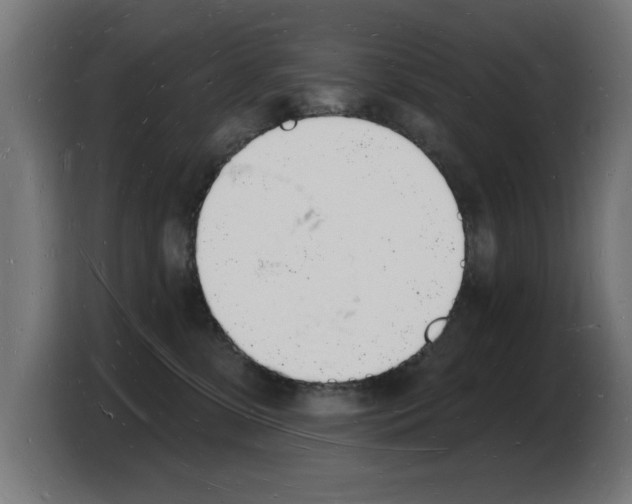 X0000103970331200810311529