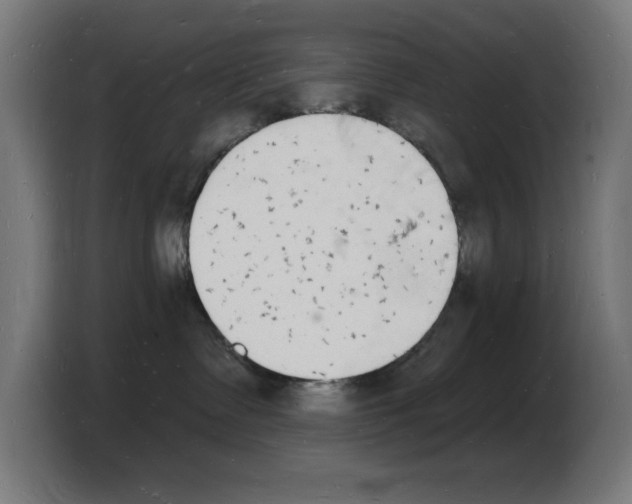 X0000103970335200810311529
