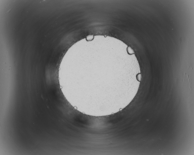 X0000103970336200810311529