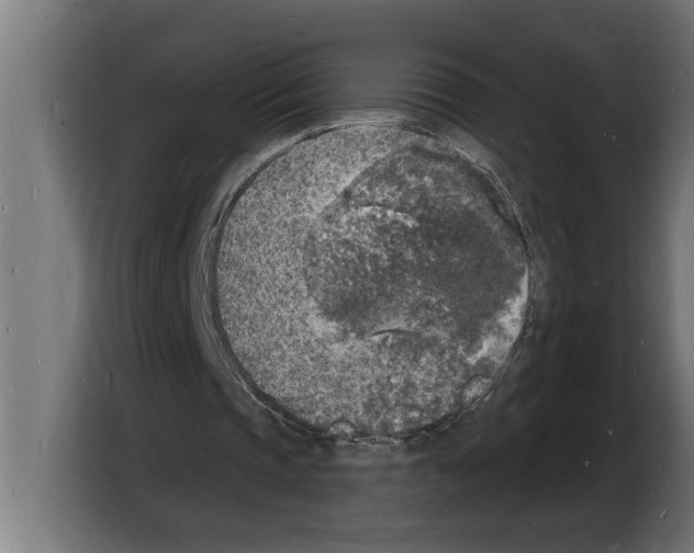 X0000103970337200810311529