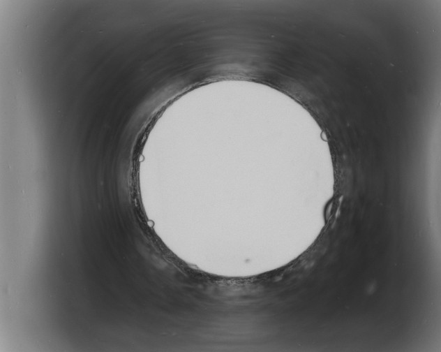 X0000103970338200810311529
