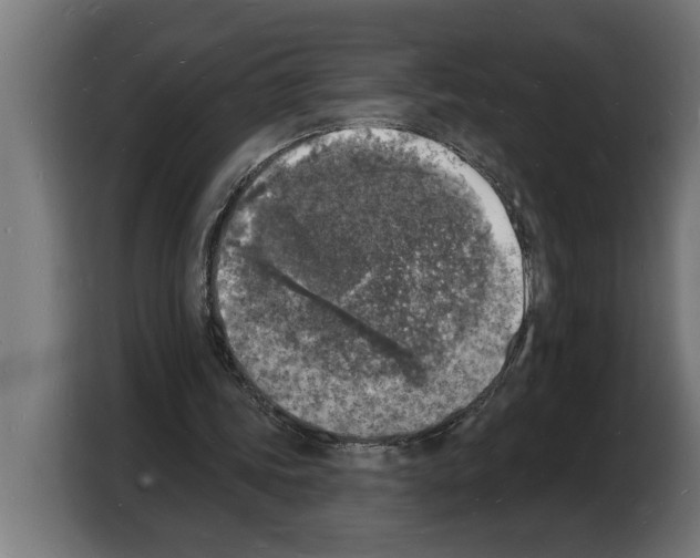 X0000103970339200810311529