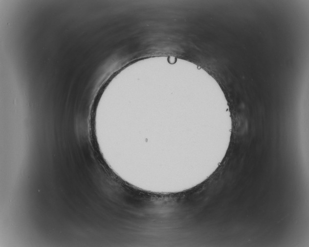 X0000103970340200810311529