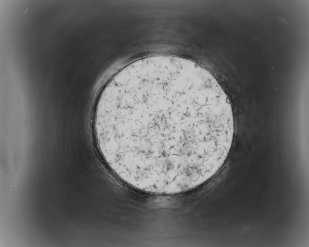 X0000103970341200810311529