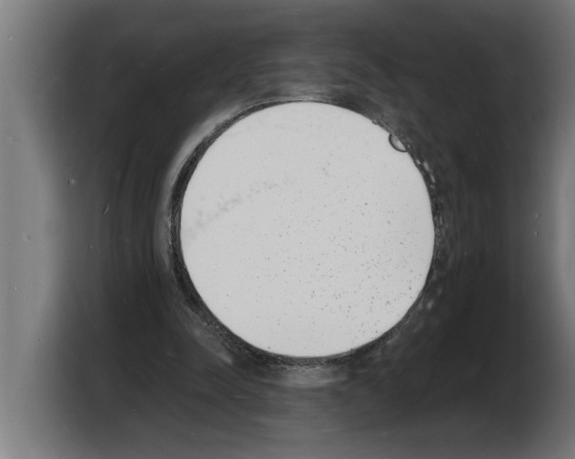 X0000103970342200810311529