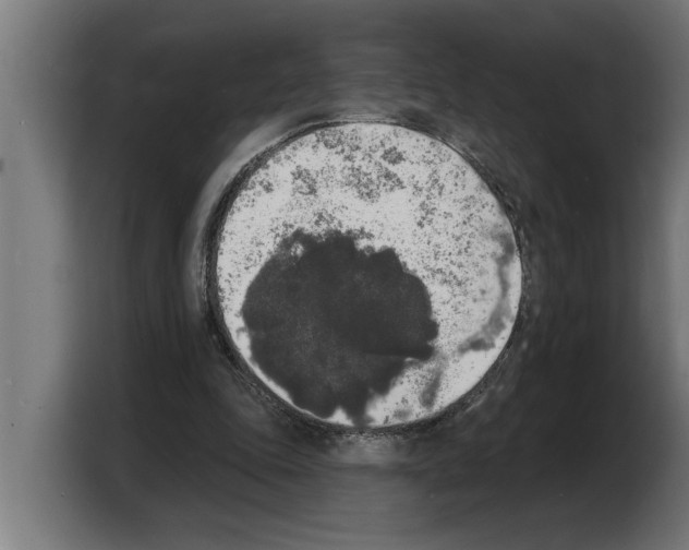 X0000103970343200810311529
