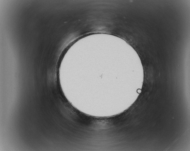 X0000103970344200810311529