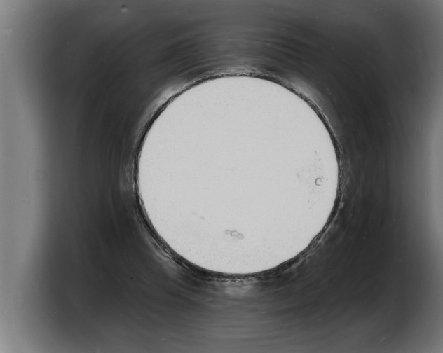 X0000103970345200810311529