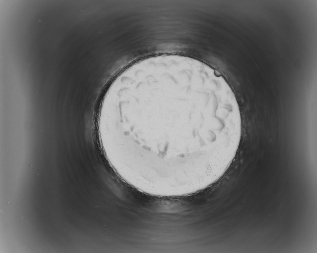 X0000103970346200810311529