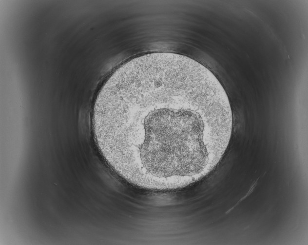 X0000103970349200810311529