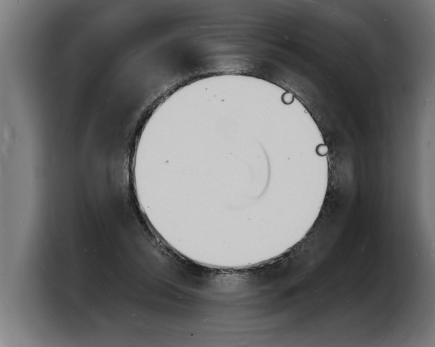 X0000103970350200810311529