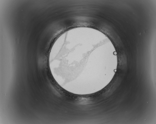 X0000103970352200810311529