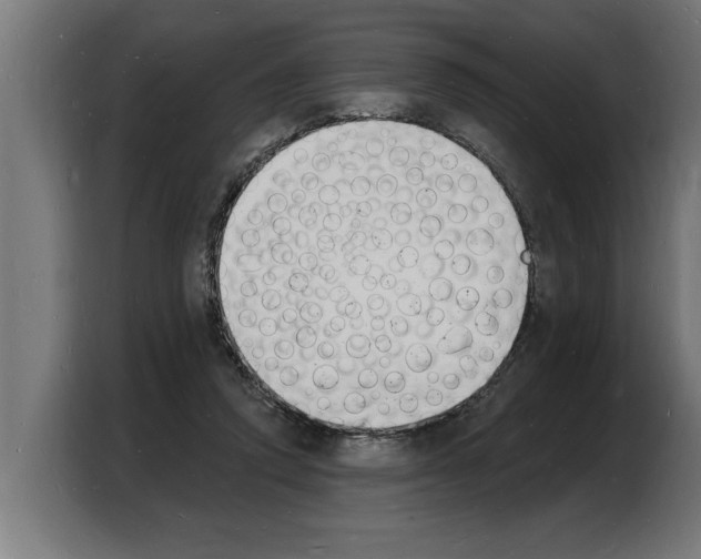 X0000103970354200810311529