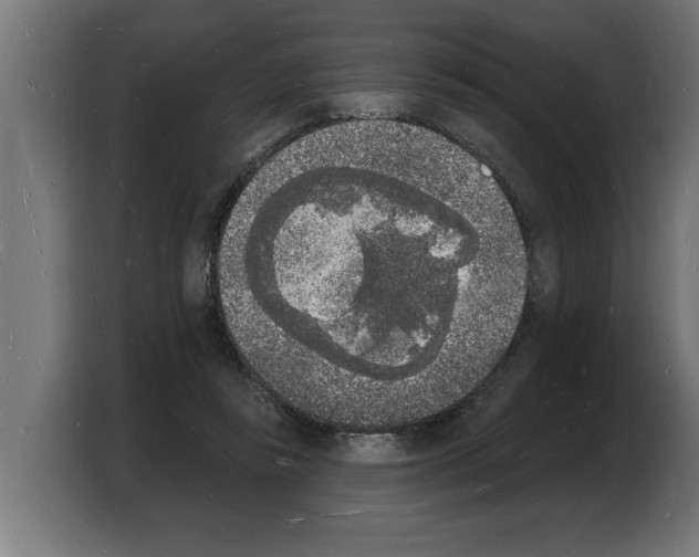 X0000103970355200810311529