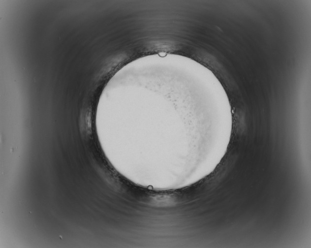 X0000103970358200810311529